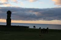 IMG_8295