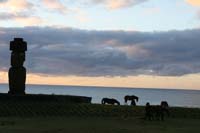 IMG_8297