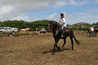 IMG_8509