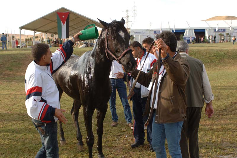 Jordanian