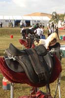 saddles