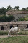 international/France/2007Florac/gallery/LaMas01/thumbnails/LM020.jpg
