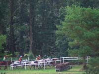 international/France/2008Compiegne_JR/gallery/FRA_CEIOYR_130km/thumbnails/DSCF4496.jpg