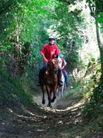 international/France/2008Compiegne_JR/gallery/FRA_CEIOYR_130km/thumbnails/DSCF4550.jpg