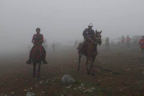 IMG_5075