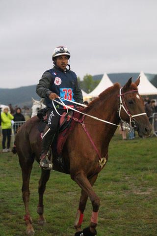 OSAM1239
