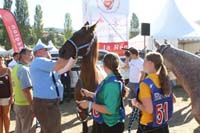 IMG_4572