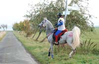 Holzerode-Gottingen #10050