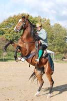 Holzerode-Gottingen #10051