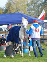 Holzerode-Gottingen #10069