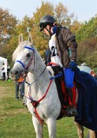 Holzerode-Gottingen #10071