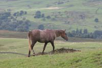1008Ser_128