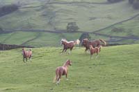 1008Ser_165