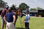 USEF-082012 037