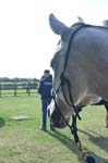 USEF-T-3DAYS 118