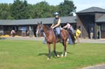 USEF-T-3DAYS 134
