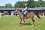 USEF-T-3DAYS 135