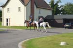 USEF-T-3DAYS 137