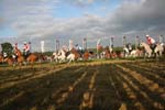 1208WEC_0520