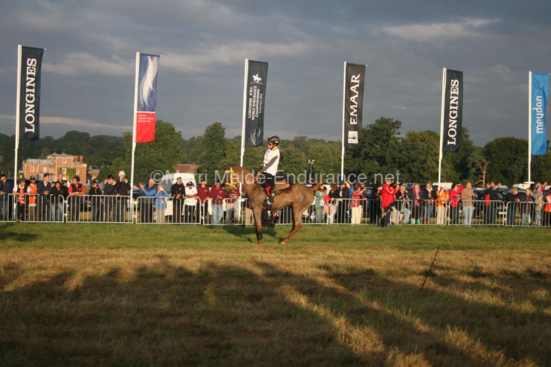 1208WEC_0562