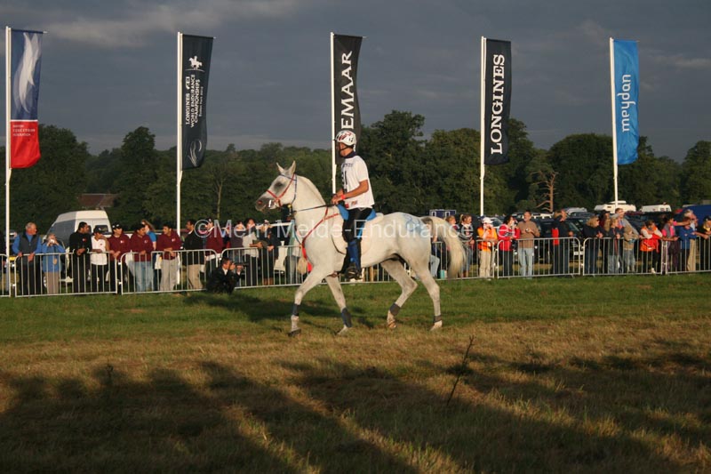 1208WEC_0578