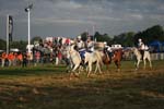 1208WEC_0586