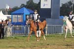 1208WEC_0680