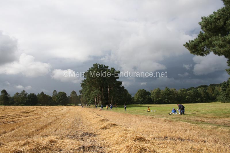 1208WEC_0740