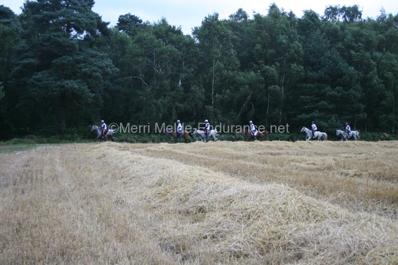 1208WEC_0749