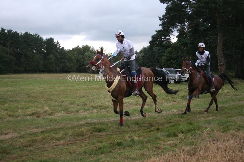 1208WEC_0767