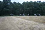 1208WEC_0749