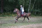 1208WEC_0776