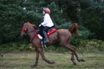 1208WEC_0826