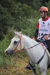 1208WEC_0978