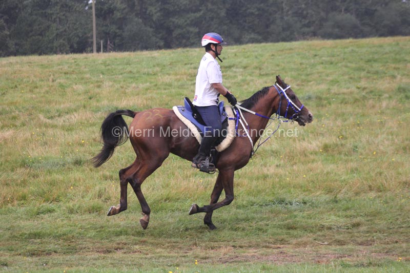 1208WEC_1063