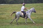 1208WEC_1062