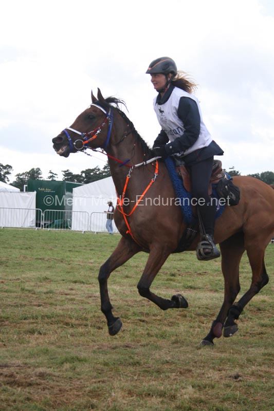 1208WEC_1126