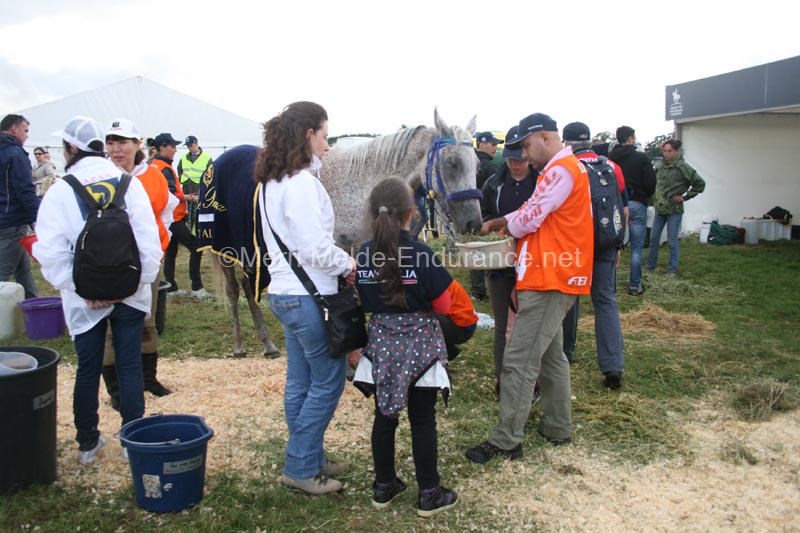 1208WEC_1131