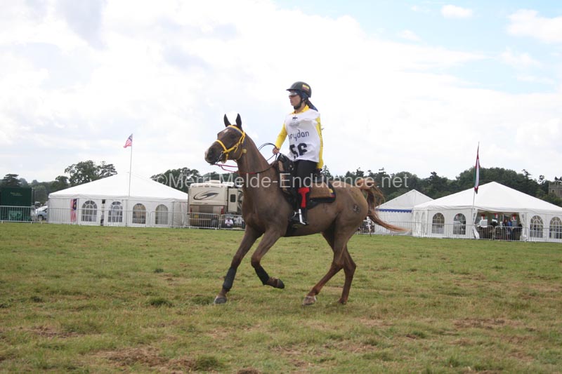 1208WEC_1141