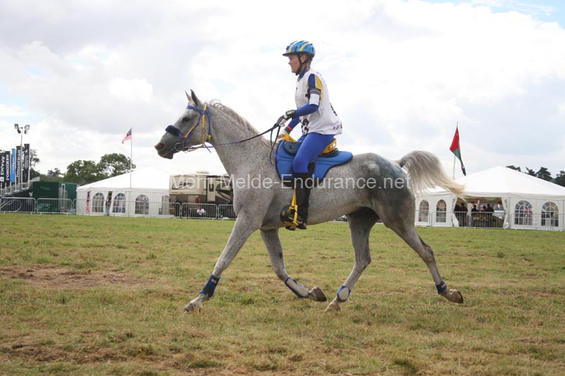1208WEC_1146