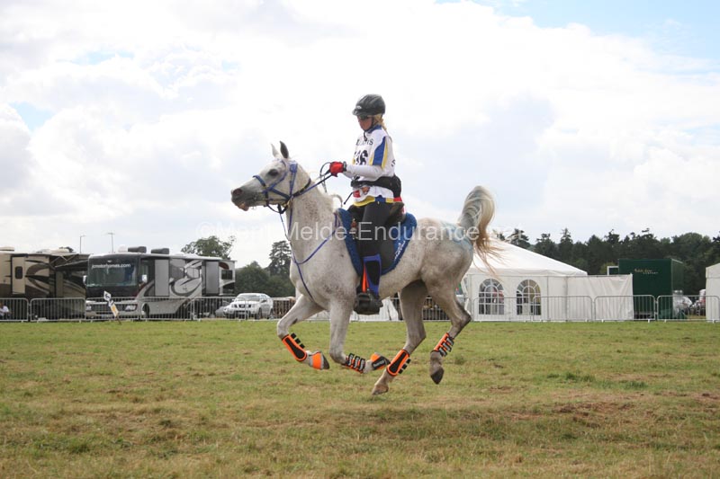 1208WEC_1148