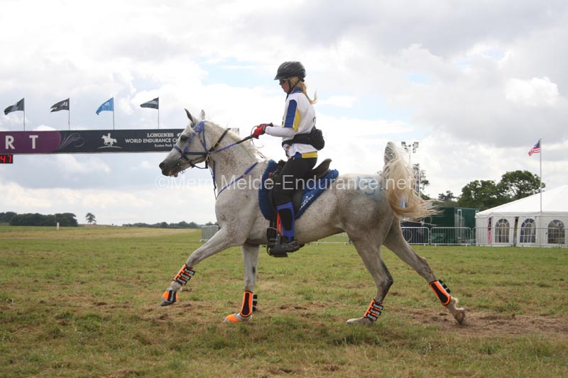 1208WEC_1149
