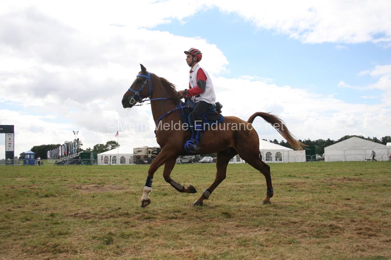 1208WEC_1152