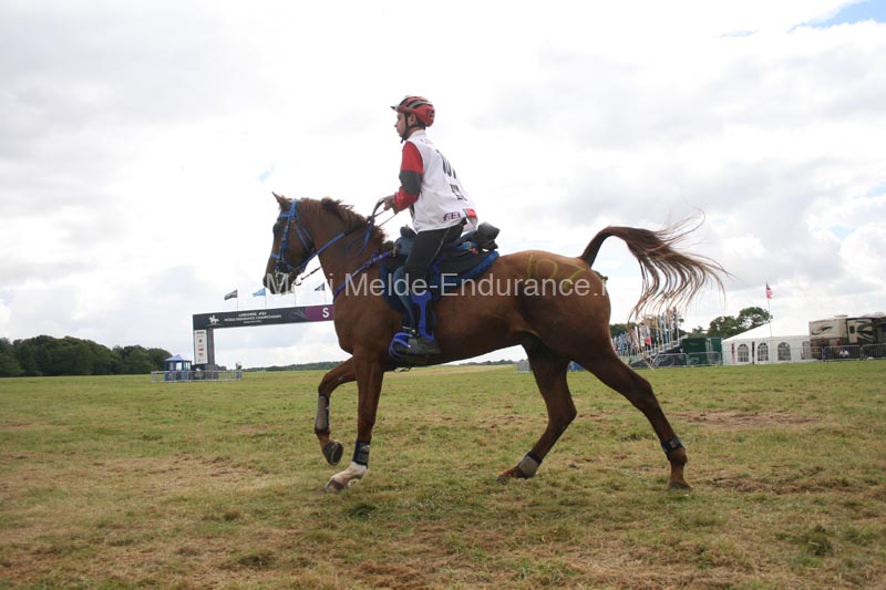1208WEC_1154