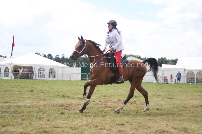1208WEC_1156