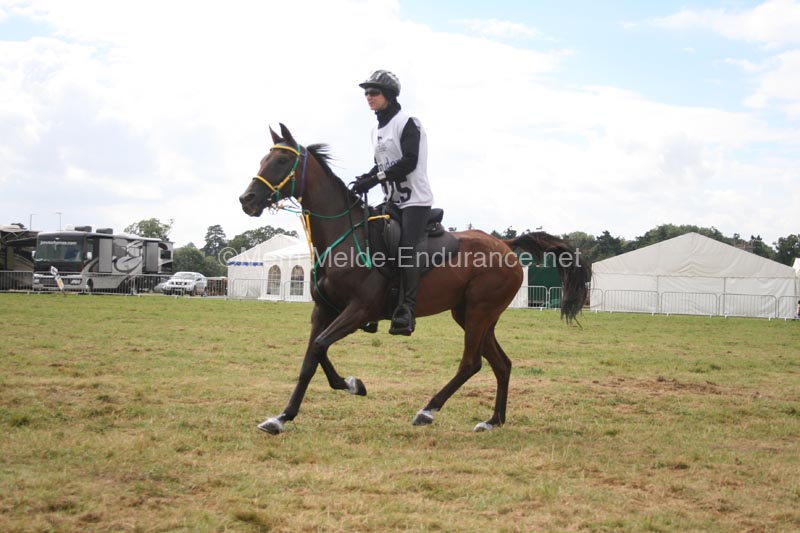 1208WEC_1158