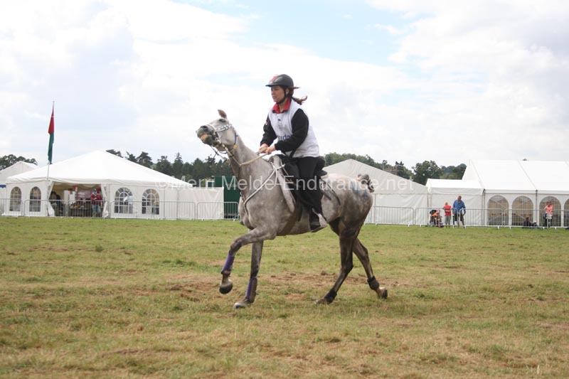 1208WEC_1160