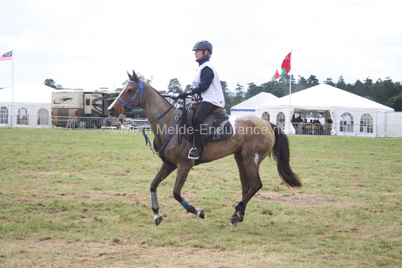 1208WEC_1169