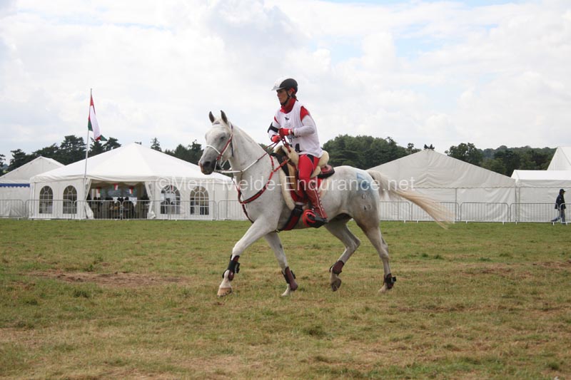 1208WEC_1173
