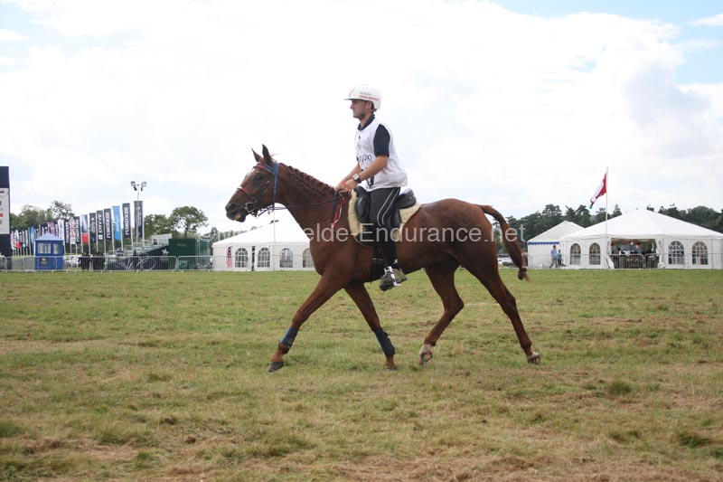 1208WEC_1176